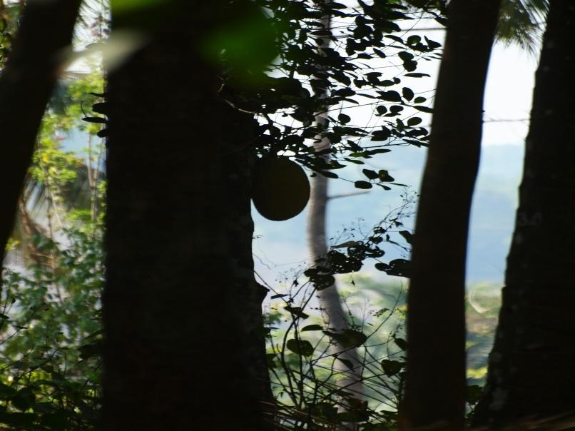 Chedi Spring Valley Otel Athirappilly Dış mekan fotoğraf