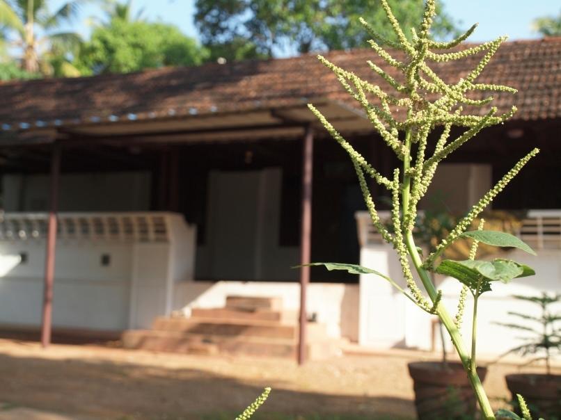 Chedi Spring Valley Otel Athirappilly Dış mekan fotoğraf
